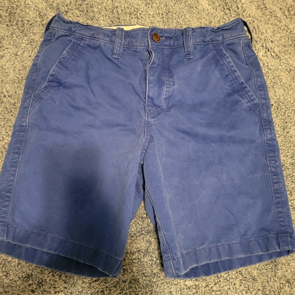 Abercrombie&Fitch Casual Blue Mens Shorts Size 32